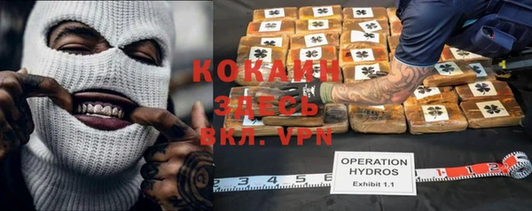 хмурый Алексин