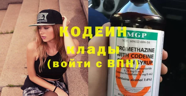 хмурый Алексин
