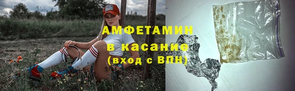 хмурый Алексин
