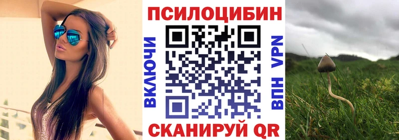 Галлюциногенные грибы Magic Shrooms  купить закладку  мега маркетплейс  Ижевск 